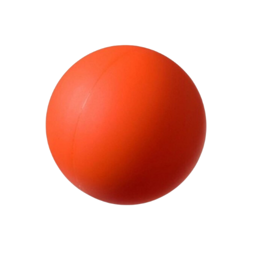 [10810] Outdoor Hockey Ball