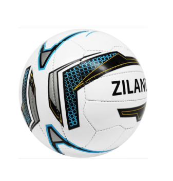 [13953] Football Ziland Pro Trainer Size 3