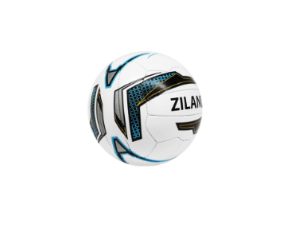 [13953] Football Ziland Pro Trainer Size 3
