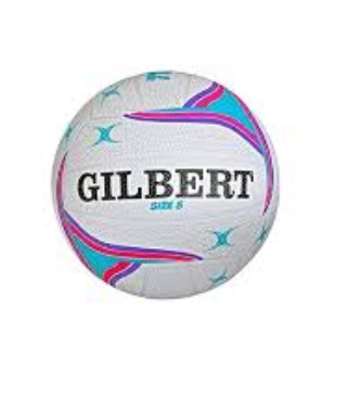 [14029] Netball Gilbert APT White|Purple Size 5