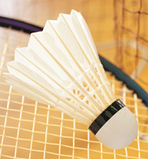 [13777] Badminton Shuttlecocks Medium To Fast Singles