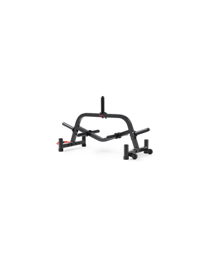 [4927] Weight Rack 