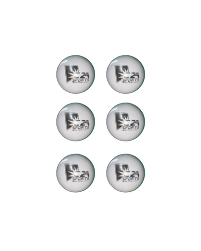 [6920] Cricket Ball C2A Sports Junior 4 3/40z White (Pack of 6)